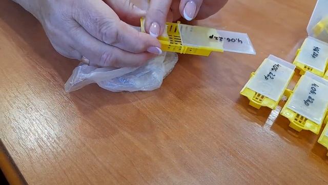 Готовим клеточки для отправки маток смотреть онлайн