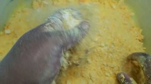 10 BLOCKS-YELLOW DYED +DEHYDRATED ADER GYM CHALK CRUMBLE-ASMR