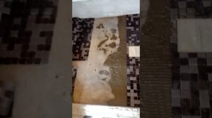 Укладка мозаичной плитки для душевого поддона