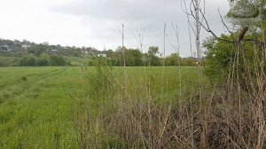 #59 Село Молдаванское, Кубань. 8 мая 2020г.