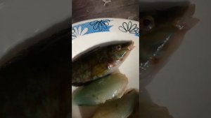 Анапа. Ловим рыбу зеленуху, жарим и пробуем на вкус.
