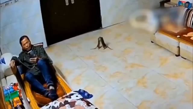 Неловкие Моменты, Сняты На Камеру