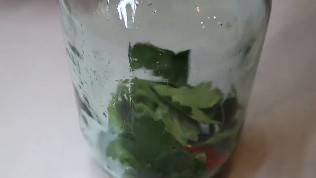 Маринованные помидоры с сельдереем. Как вкусно мариновать помидоры