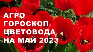 Агрогороскоп цветовода на май 2023 года.  Агрогороскоп квітникаря на травень 2023 року