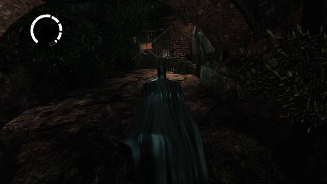 Прохождение Batman Arkham Asylum с русскими субтитрами без комментариев
Часть 8