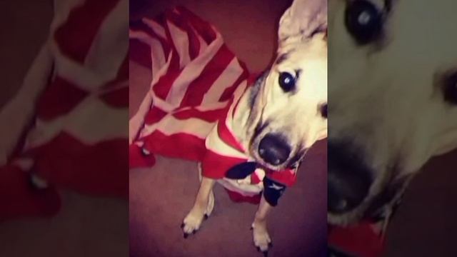 KEYS UNLOCKED DJ SASS MIX смотреть онлайн