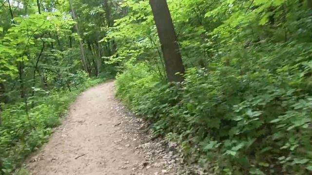 Пещера монаха. Экологическая тропа в Хвалынском заповеднике смотреть онлайн