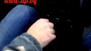 New Nissan Terrano: народный тест Автопанорамы