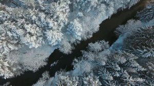 Belarus in winter. Зимняя Беларусь
