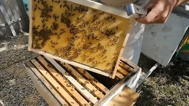 Жара Расширение до полного второй корпуса смотреть онлайн