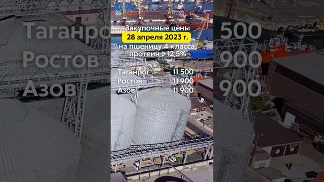 Закупочные цены 28/04/2023г. на пшеницу 4 класса (протеин ≥ 12,5%) в портах Азовского и Чёрного моря
