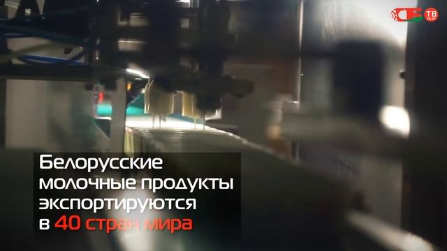 Как делают молочные продукты на "Минском молочном заводе №1"
