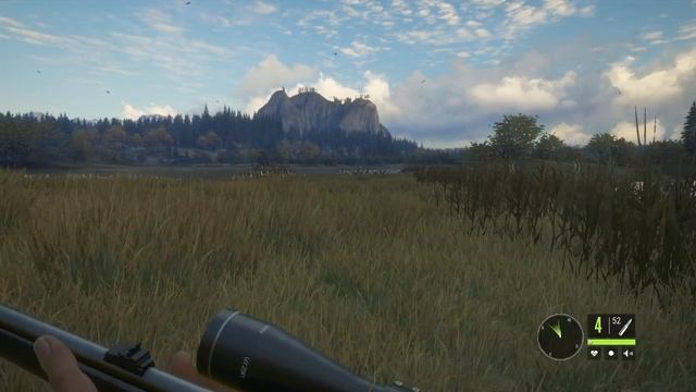 theHunter: Идём на медведя! смотреть онлайн