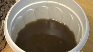 Белокочанная капуста - технология выращивания, защита от заболеваний. Сорта белокочанной капусты.