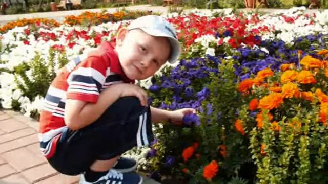 НАША ДРУЖНАЯ СЕМЬЯ смотреть онлайн