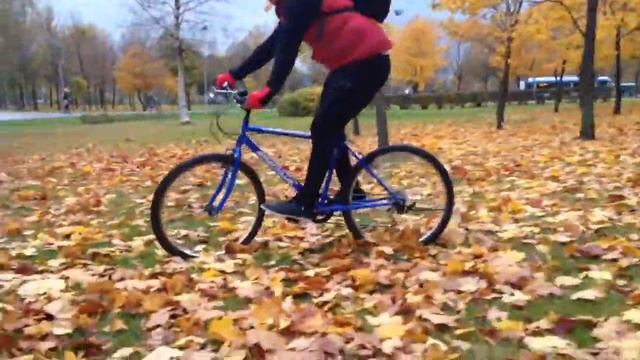 Велопрогулка 10 км смотреть онлайн