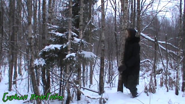 Сказ как мужик за ёлкой ходил))) смотреть онлайн