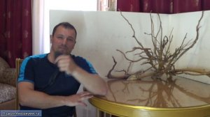 400 литровый угловой аквариум под Альтумов. Подготовка.