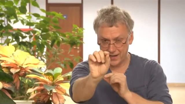 Как правильно ставить цели? Вадим Демчог смотреть онлайн