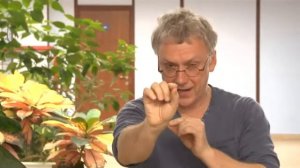 Как правильно ставить цели? Вадим Демчог