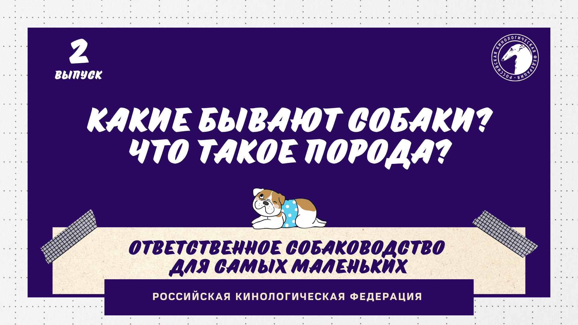 Часть 2. Какие бывают собаки и что такое порода | РКФ детям