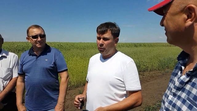 Марс Сафаров рассказывает о выращивании гороха в своем хозяйстве смотреть онлайн