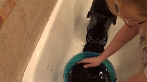 Чистим внешний фильтр Тетра ЕХ 800