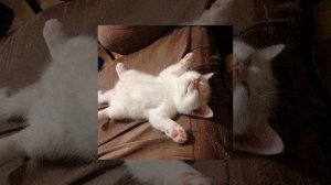 Miki Matsubara- Stay With Me[Speed up]