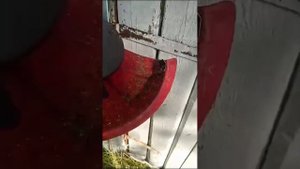 Ножи для (бензо и электро) триммера, косы распечатанные на 3д принтере из petg. Policut