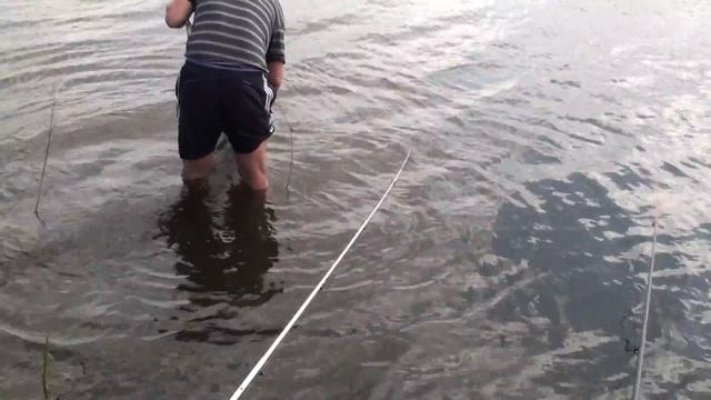 Фартовая рыбалка пруд Кострома Белгородская область смотреть онлайн