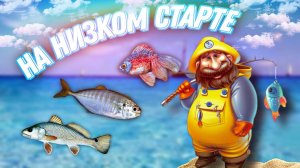 На низком старте