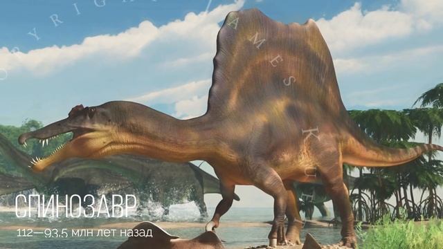 Все ХИЩНЫЕ ДИНОЗАВРЫ: Классификация динозавров (Часть 1) смотреть онлайн