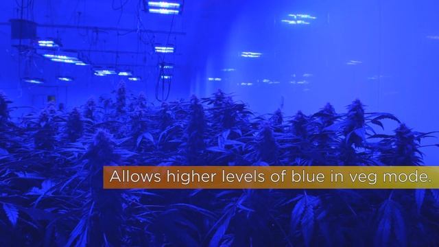 LED Grow Lights - SolarSystem® 550 / 550 Veg / 550 UVB