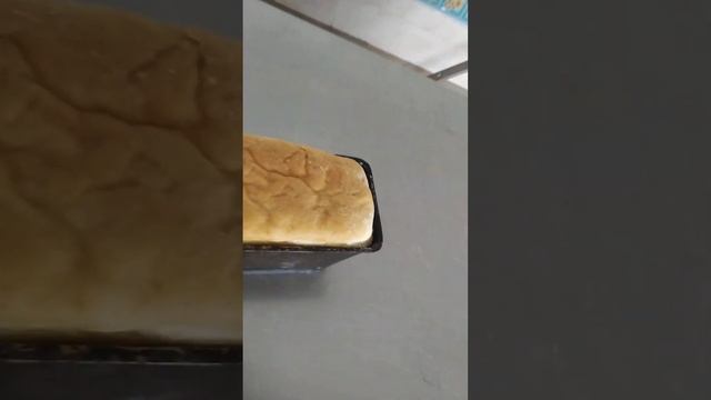 Жизнь так как она есть... смотреть онлайн