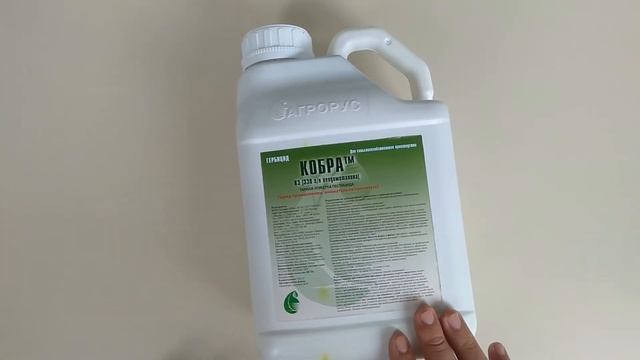 Как получить посевы лука без сорняков. (Видео №2) смотреть онлайн