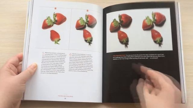 Книга | The Realism Challenge (Mark Crilley) | Быстрый обзор | Реализм в рисовании смотреть онлайн