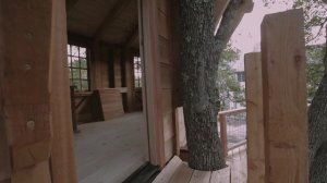 Treehouse Walkthrough: Quercus Treefort-icus