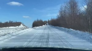 Перегон две Honda stepwgn из Владивостока 1 часть