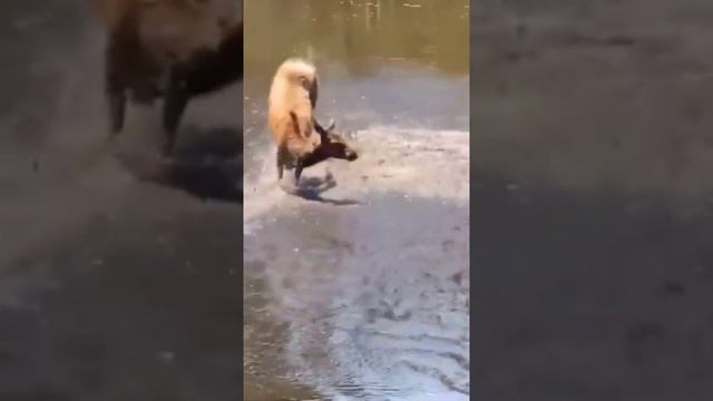 #В жару