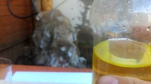 Самый доступный способ извлечение серебра.