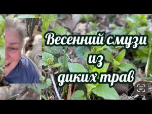 Весенний смузи из диких трав - принцип приготовления