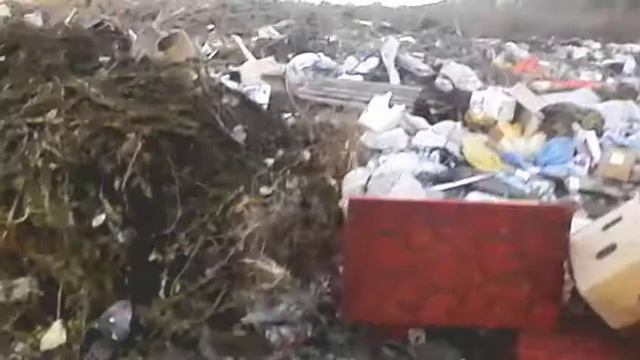 Лесная свалка в Лесном
