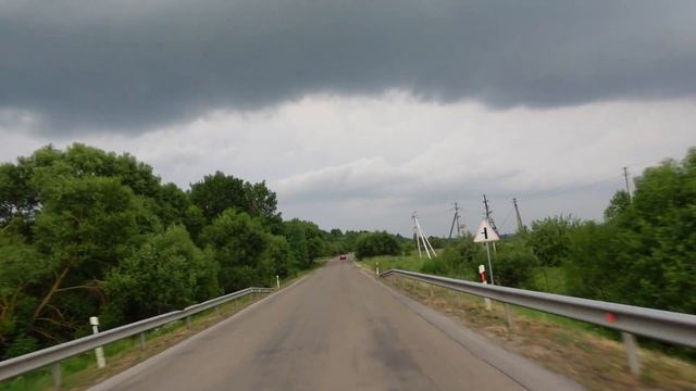 просто взяли собаку и поехали на машине смотреть онлайн