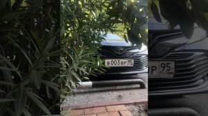 Шестиструнная гитара очень красивая песня ☺️🎶🤩