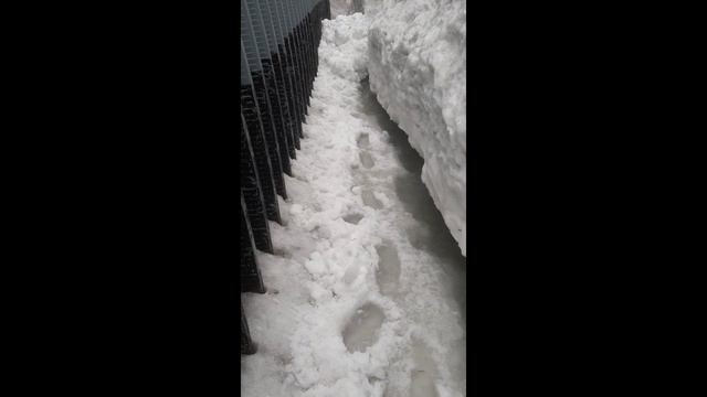 Нашел причину потопа .