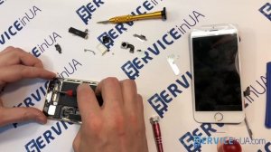 Apple iPhone 7 как разобрать, ремонт и сборка iPhone 7