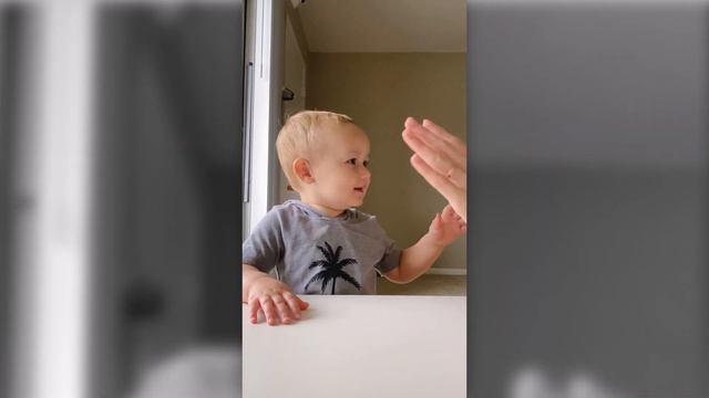 ДОМАШНЕЕ ОБУЧЕНИЕ ИГРАЯ / Развитие малышей