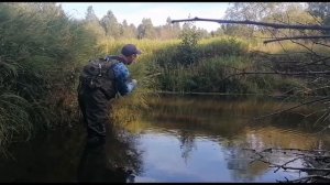 Хариус на малых реках