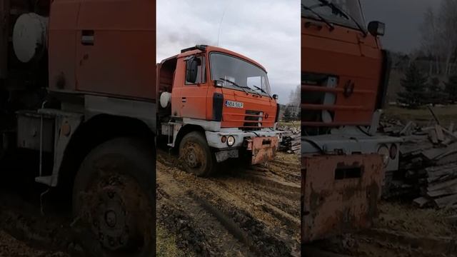 Tatra 815 wjeżdża przez ciasto