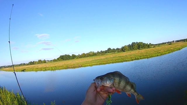 Причина плохого клёва на уловистом месте. смотреть онлайн